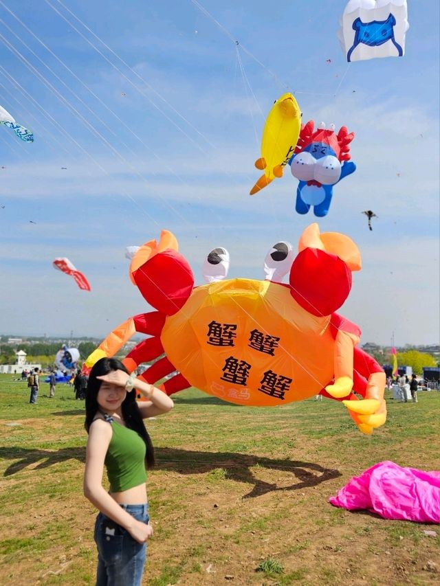 Kite festival in Weifang, Shandong 