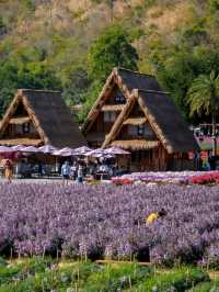 Hokkaido Flower park Khaoyai
