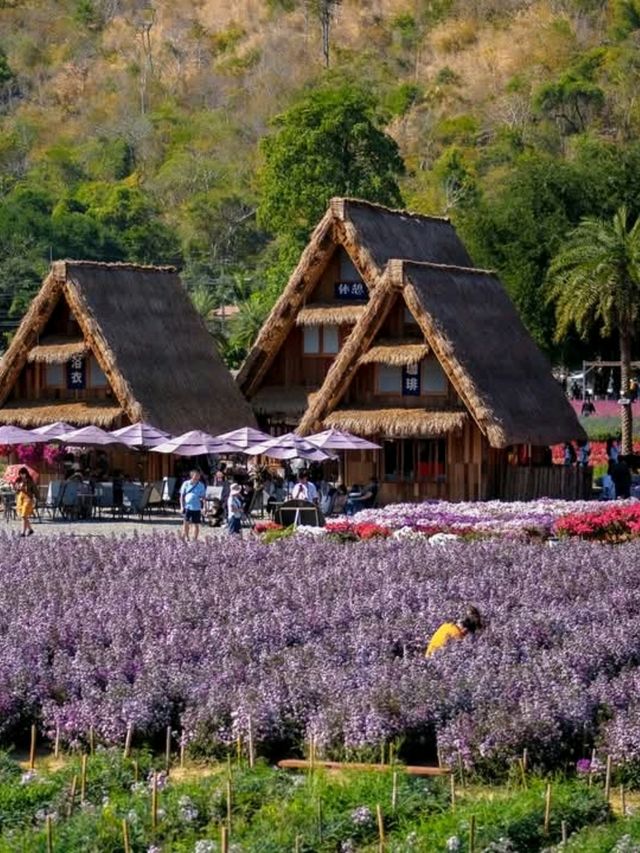 Hokkaido Flower park Khaoyai