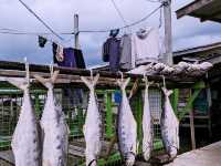 🐟 Kg Pukat Fisherman Village: Where the Sea Breeze & Salted Fish Tell Stories!🌊