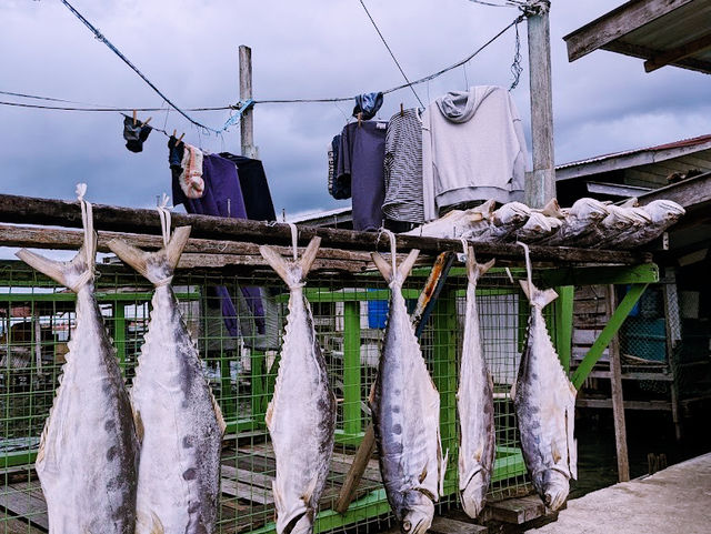 🐟 Kg Pukat Fisherman Village: Where the Sea Breeze & Salted Fish Tell Stories!🌊