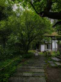 【東京🇯🇵】あいにくの天気でも楽しめる町田散歩Day