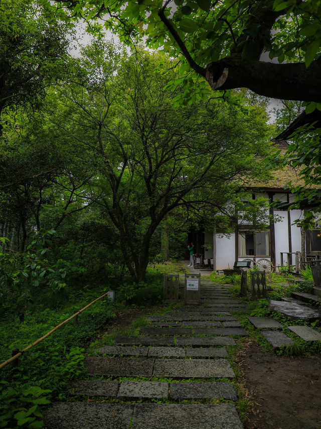 【東京🇯🇵】あいにくの天気でも楽しめる町田散歩Day