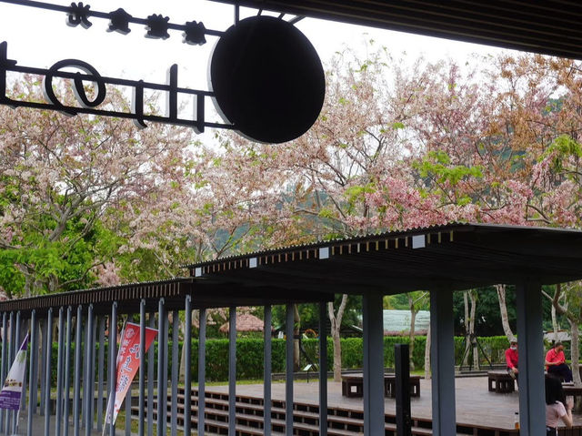 阿里山國家風景區-管理處暨觸口遊客中心