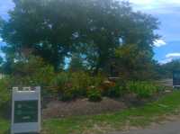 พาเดิน Niagara fall state park 