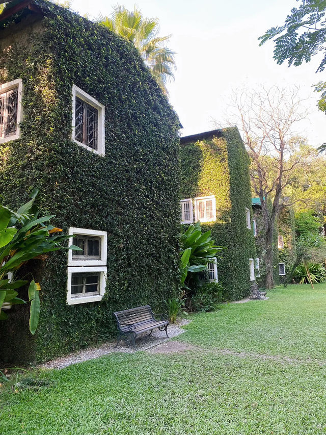 🌳 คาเฟ่โรงบ่ม-เก๊าไม้ ล้านนา เชียงใหม่วิวสวย✨☕️