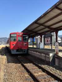 Kumamoto Sights and must go Night Bazaar that only open for 1 day a month!