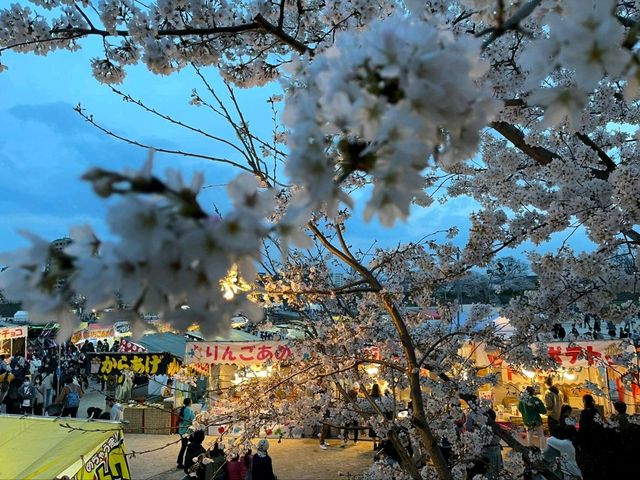 A Hidden Gem for a Peaceful Stroll in Okazaki City Minami Park