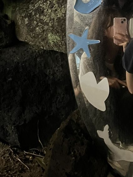 뚜벅이의 제주도 혼자여행🐳
