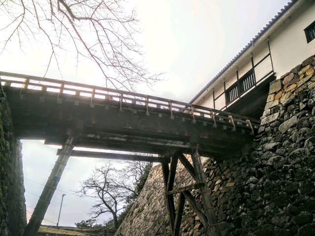 #彥根城-日本滋賀縣彥根市