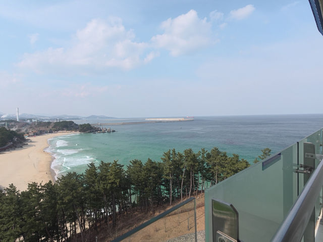 🇰🇷탁 트인 오션뷰와 이국적인 분위기, 삼척 쏠비치에서의 완벽한 힐링💙