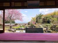 Temple with a Peaceful Vibe