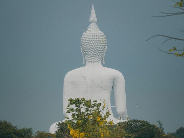 วัดม่วง พระพุทธมหานวมินทร์ศากยมุนีศรีวิเศษชัยชาญ