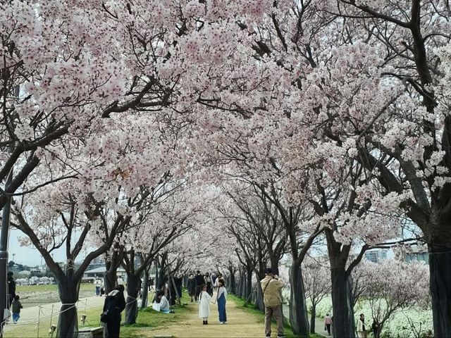 Sayamaike Park