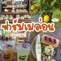 ฟาร์มเมล่อนลุงแดง ปทุมธานี 🍈📍