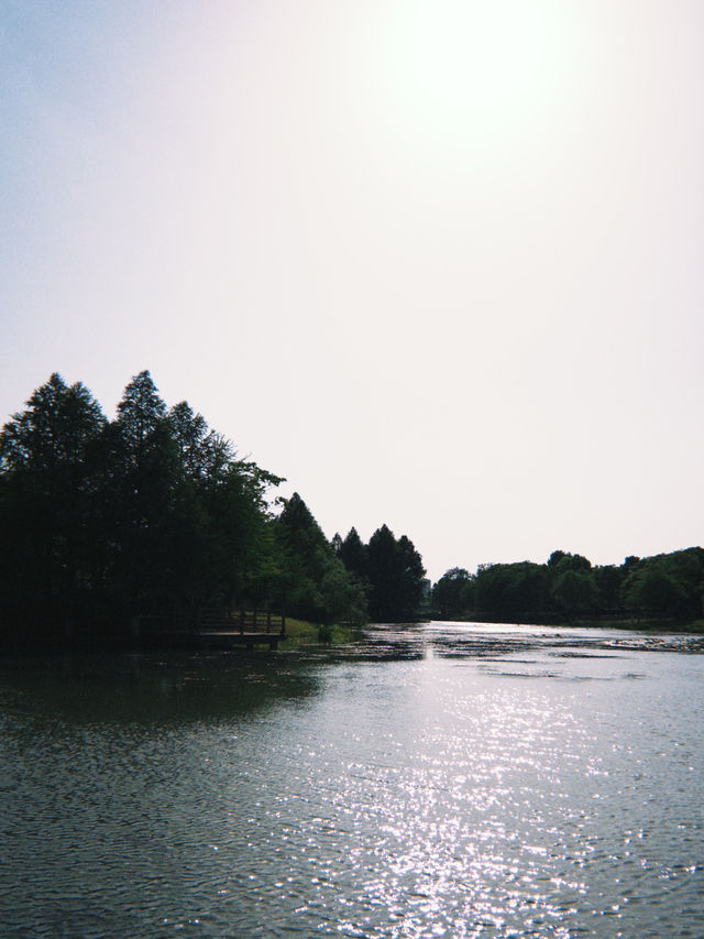 神山公园 