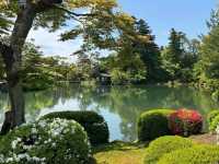 Spring Zen Mode
