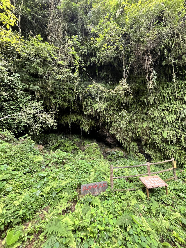 Discovering Hainan’s Ancient Volcanoes at Leiqiong Geopark 🌋