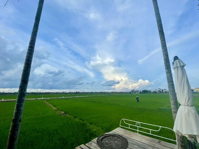 🇻🇳 호이안 대표적 논 뷰 카페