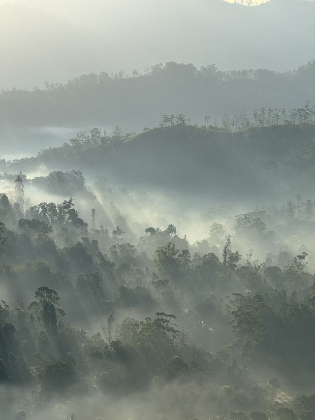 2 Days in Badulla – A Journey Through Nature and Culture