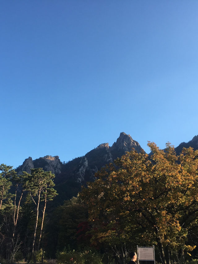 설악산 단풍