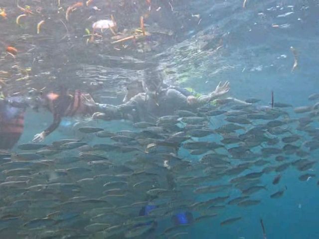 適合老中青三代共遊的薄荷島之旅