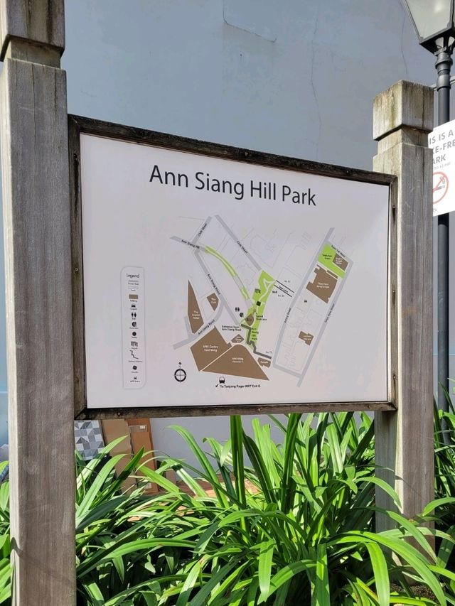 Skyscraper and Greenery views in Ann Siang Hill Park