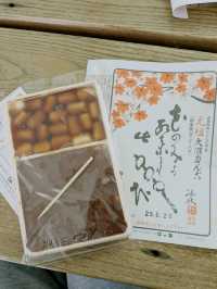 函館駅から少し足を伸ばして、大沼へ