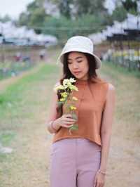 ตามหาทุ่งดอกไม้กลางหุบเขา 🌼