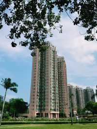 香港｜端午節黃金海岸｜海濱粽香與節日悠情