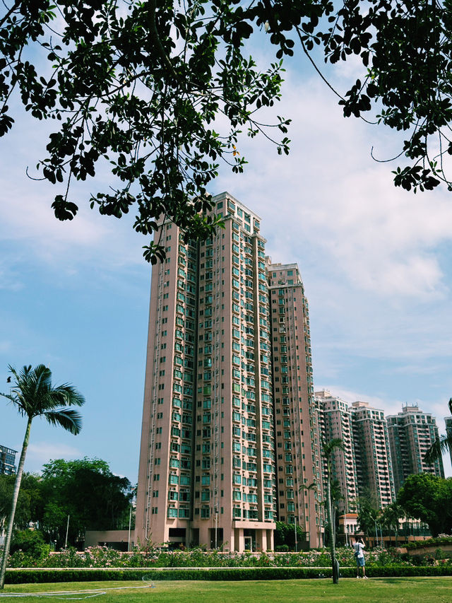 香港｜端午節黃金海岸｜海濱粽香與節日悠情
