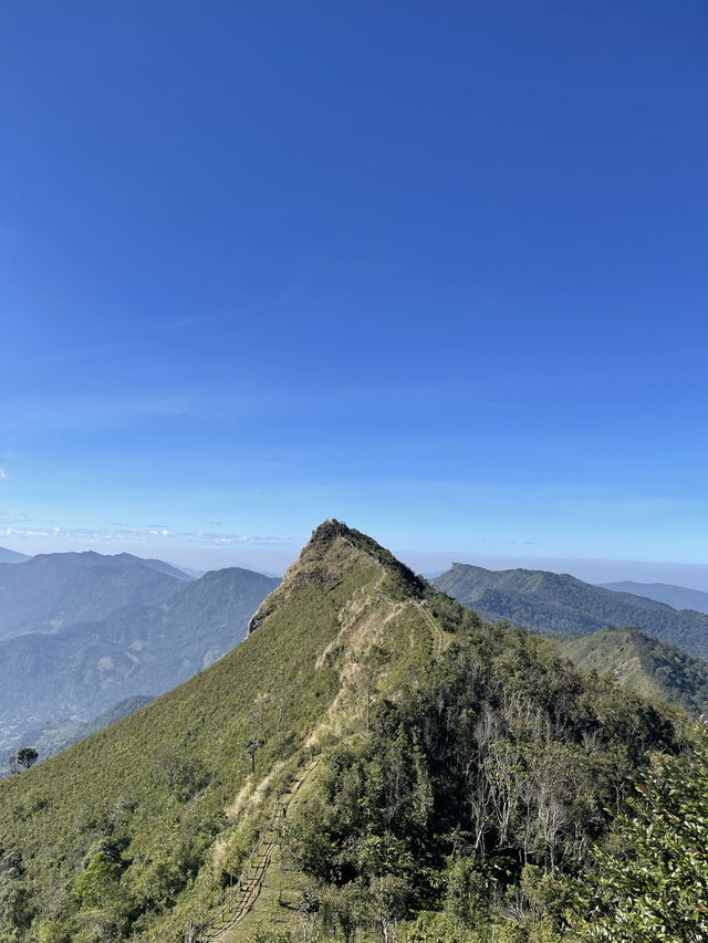 Phu Chi Fa – Chasing the Sea of Mist.
