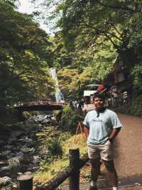 A Peaceful Escape to Minoh park.