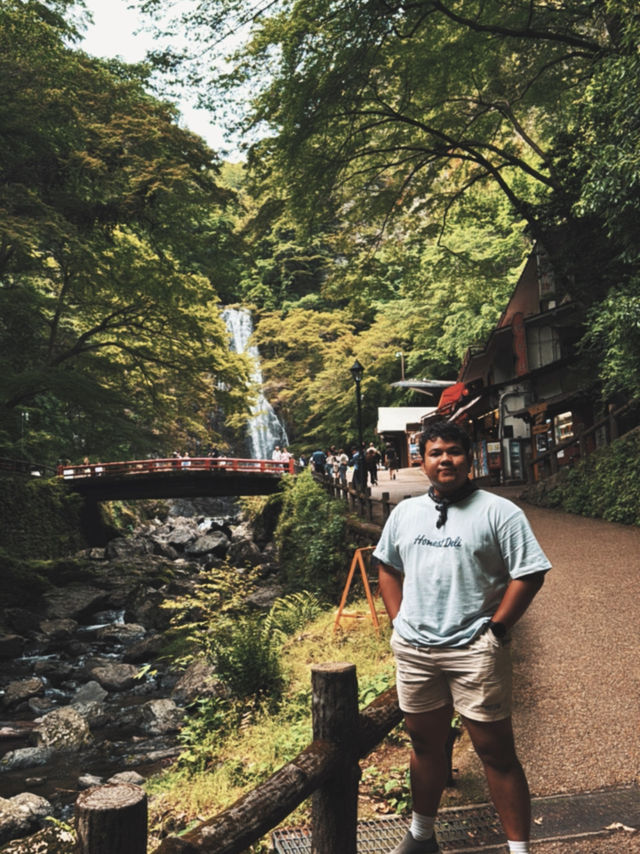 A Peaceful Escape to Minoh park.