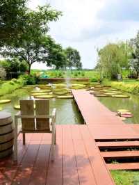 แกะ กะ บัว  |  Farm cafe & restaurant