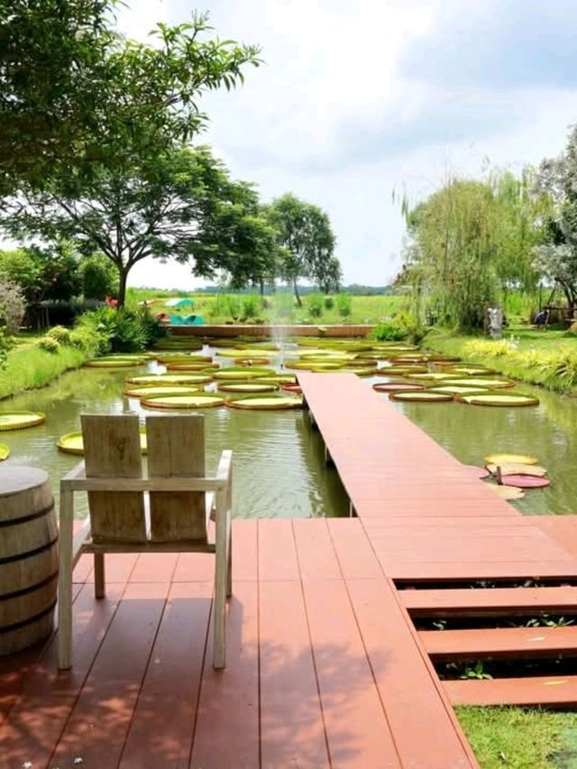 แกะ กะ บัว  |  Farm cafe & restaurant