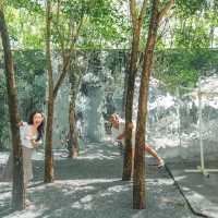 คาเฟ่แผ่นกระจกกลางสวนยางพารา