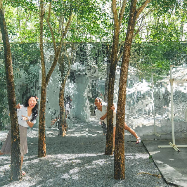 คาเฟ่แผ่นกระจกกลางสวนยางพารา