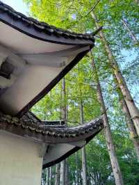 บ่ายวันสบายที่ Hangzhou Botanical Garden