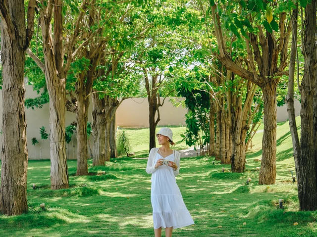 ฤดูกาลสีเขียวกำลังมาเยือนไปคาเฟ่ริมแม่น้ำแควกันไหม