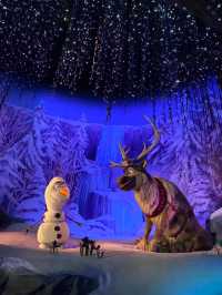 香港ディズニーのアナ雪エリアは神秘的⛄️
