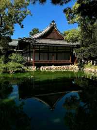 Shrine Strolls