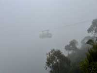 Where? Mist-ified!👻