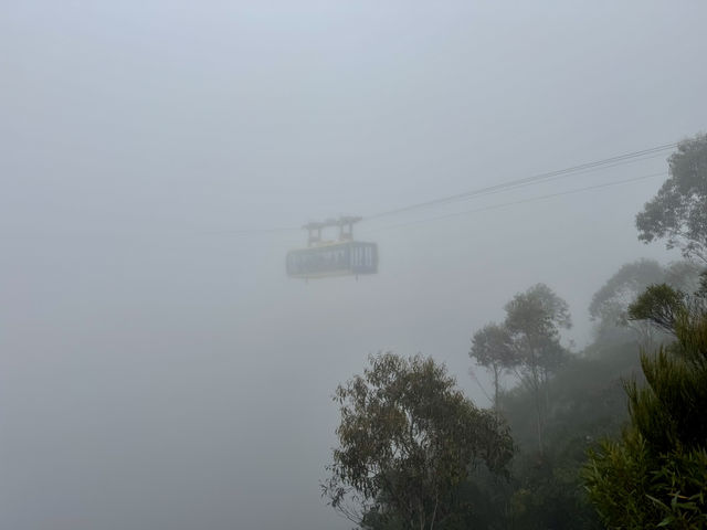Where? Mist-ified!👻