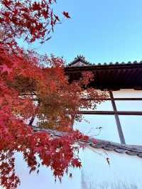 岡山｜守護倉敷400年宗像三女神 與延年益壽的還曆坂61階