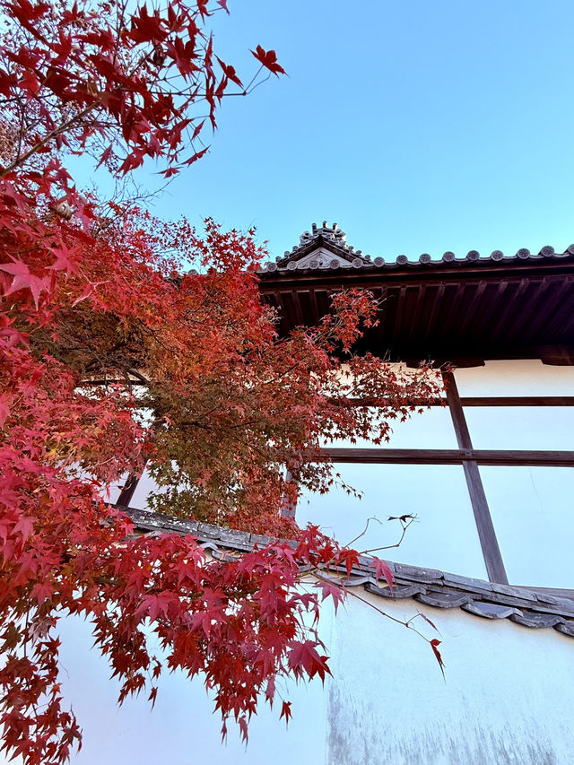 岡山｜守護倉敷400年宗像三女神 與延年益壽的還曆坂61階