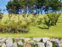 A Breath of Fresh Air at Misari Han River Park 4