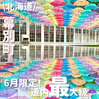 Hokkaido's Largest Umbrella Sky in June
