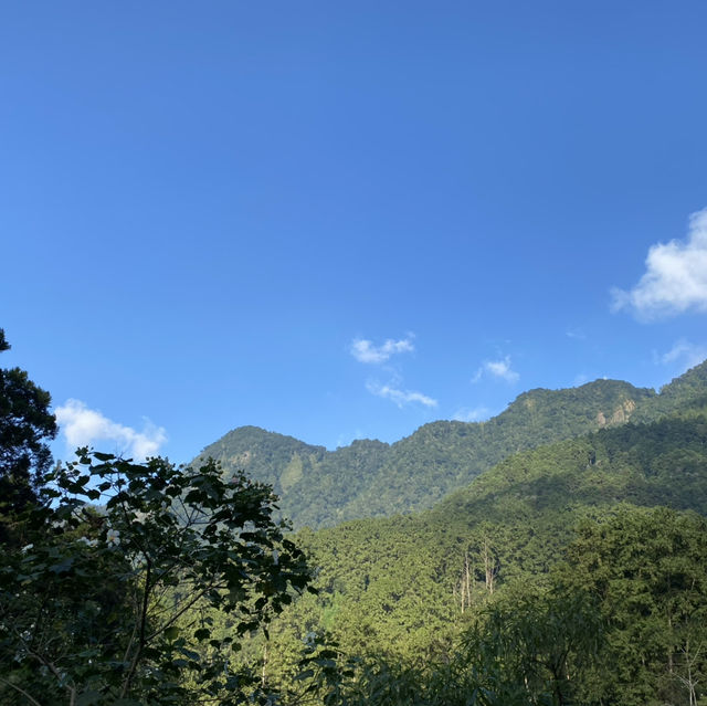 溪頭森林遊樂區🌳