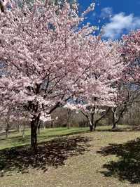 Prospect Park